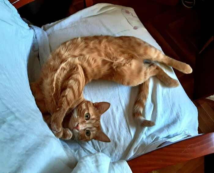 What? I Just Relax.😊