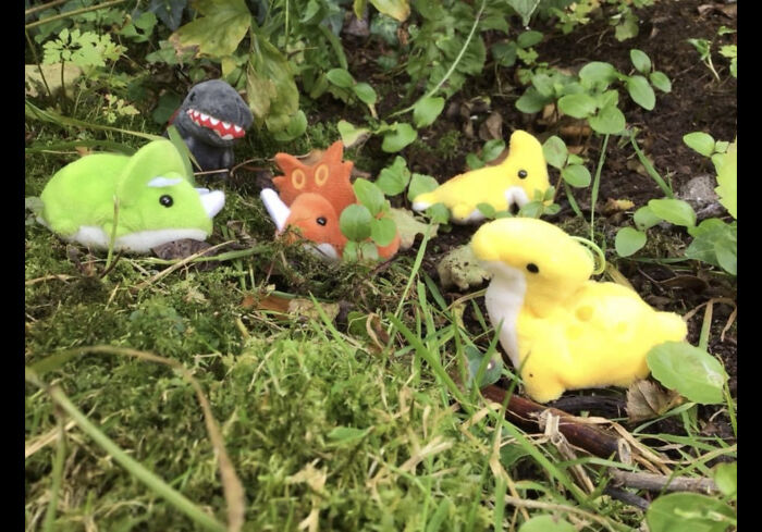 Tiny Dinosaurs 🦕🦖