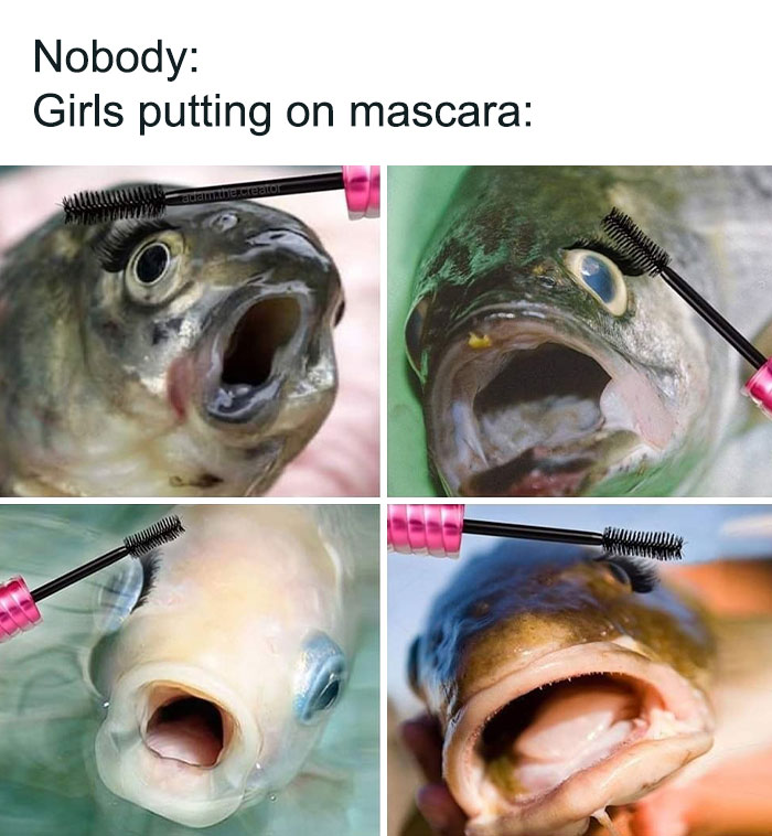 How @femalesproblems & @colespruose Doing Makeup 😭