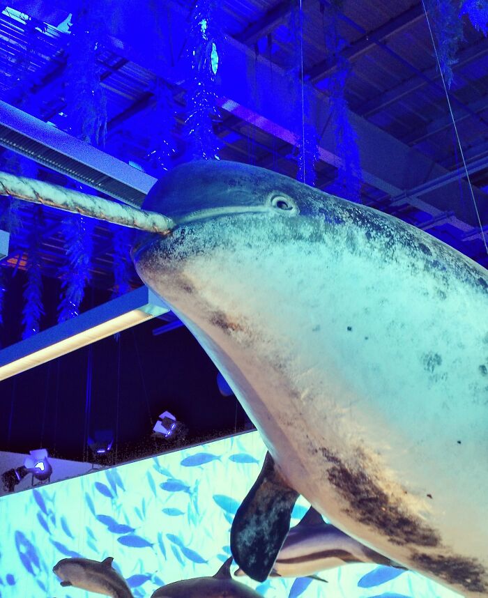 “What Did You Learn At An Embarrassingly Late Age?” (40 New Answers)