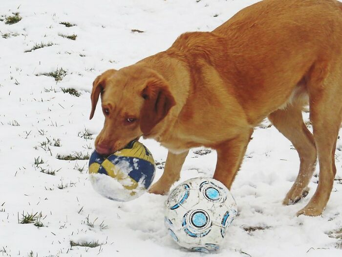 20 Personas de este grupo online exponen a los idiotas que tienen que soportar en sus propias vidas