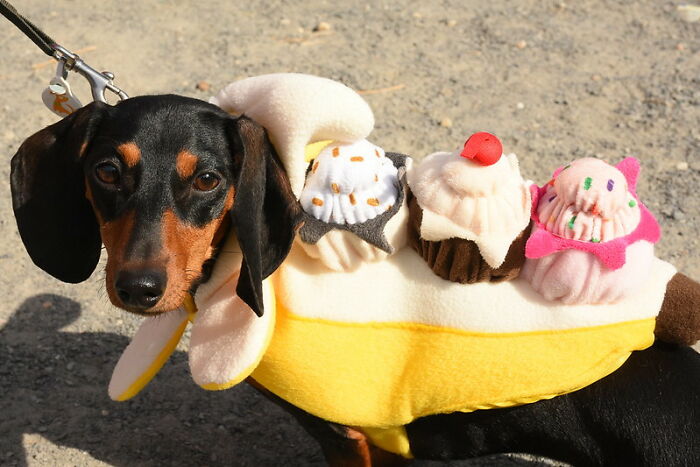 “What Did You Learn At An Embarrassingly Late Age?” (40 New Answers)