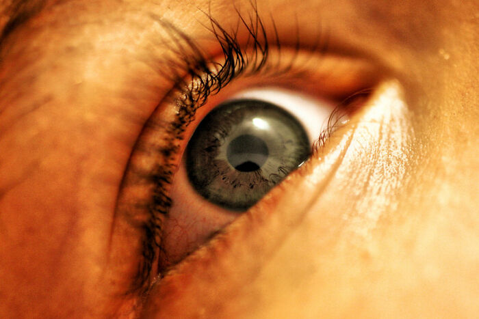 In Honor Of World Sleep Day, Here Are 30 Tips For Falling Asleep Easily, Shared By Users Of This Online Group