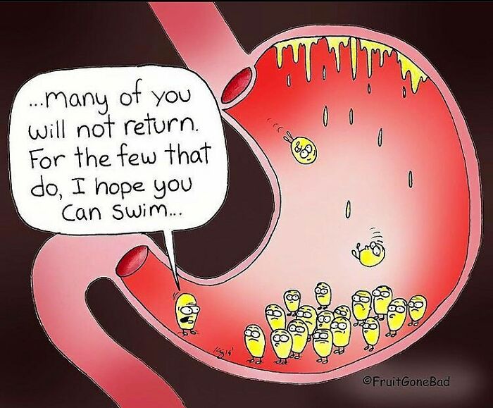 Fun But Inappropriate 'Fruit Gone Bad' Comics