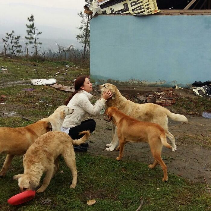 Almost Every Day After Work, This Woman Drives Up The Hills Of Sapanca In Turkey To Take Care Of Neglected Dogs There