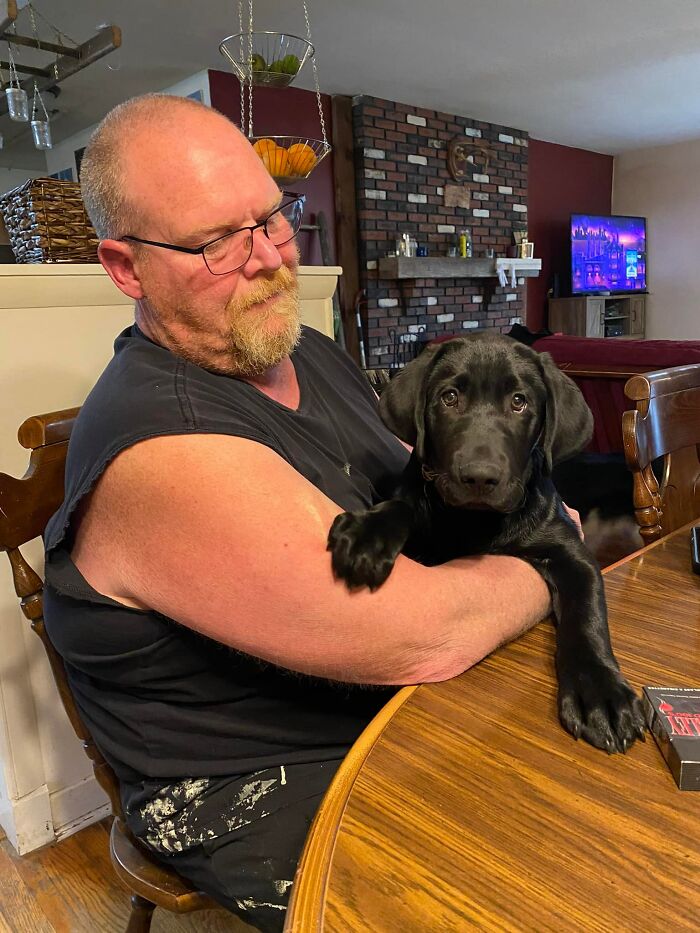 Finn The Wonder Puppy (8 Pics)