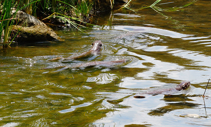 30 Mistakes Movies Make When Portraying Various Professions, As Shared By Folks In This Online Thread