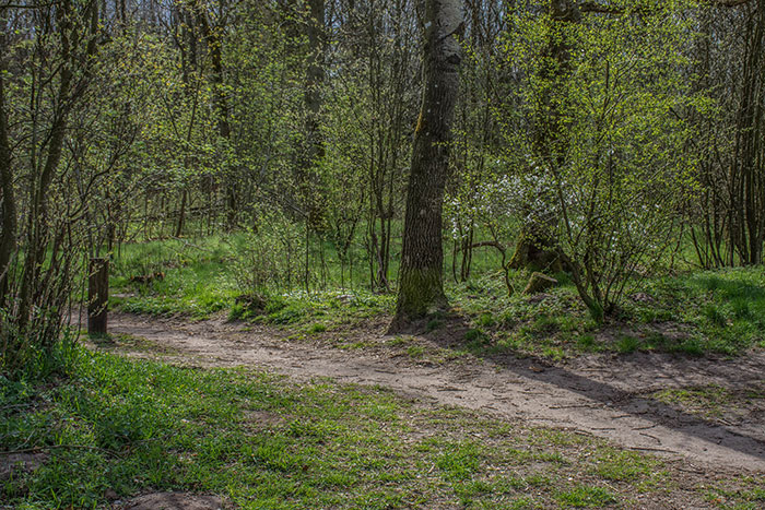Trabajo fuera de la oficina antes de que estuviera de moda