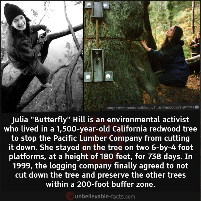 Interesting-Unbelievable-Facts