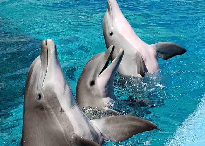 30 People Share Their "Anti-Bucket" List Of Things They Would Never Do Again