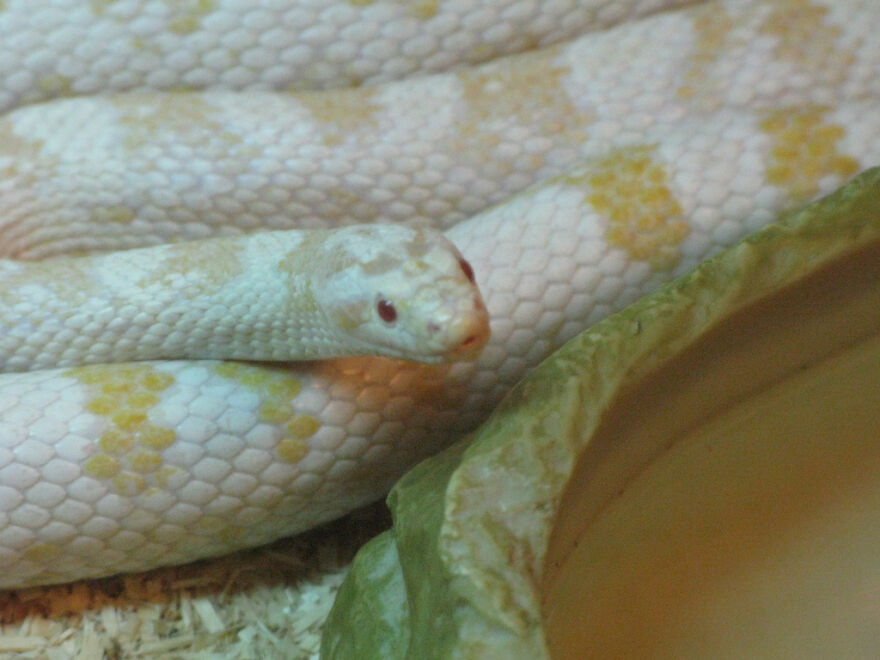 My Sweet Deuce. Miss You, Buddy.