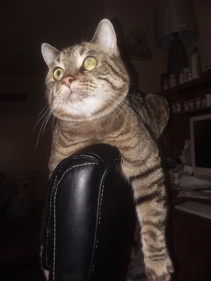 Chico Like’s Hanging On The Smallest Places