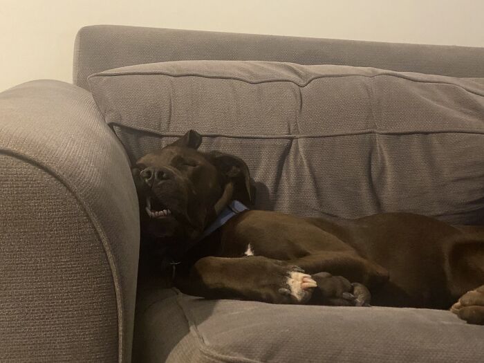 He Is Cute When He Sleeps But Not This Time