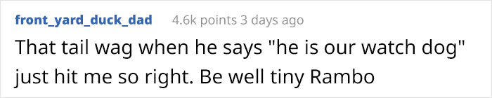 Puppy Rescued By Ukrainian Soldiers Becomes A Trusty Watchdog