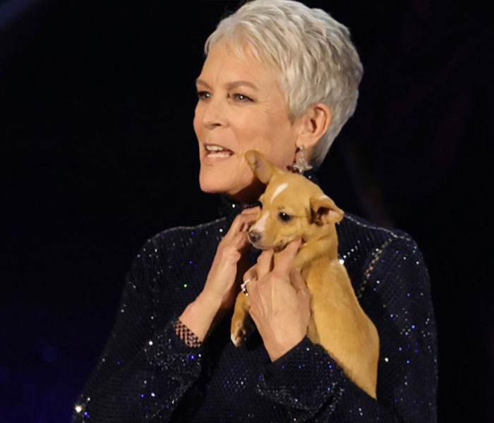 Puppy Named Mac N Cheese Wins Big At The Oscars As John Travolta Adopts Him After Betty White Tribute Puppy Named Mac N Cheese Wins Big At The Oscars As John Travolta Adopts Him After Betty White Tribute