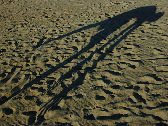 30 Unexplainable Situations That Happened In Broad Daylight And Caught People Off Guard, As Shared By Folks Online