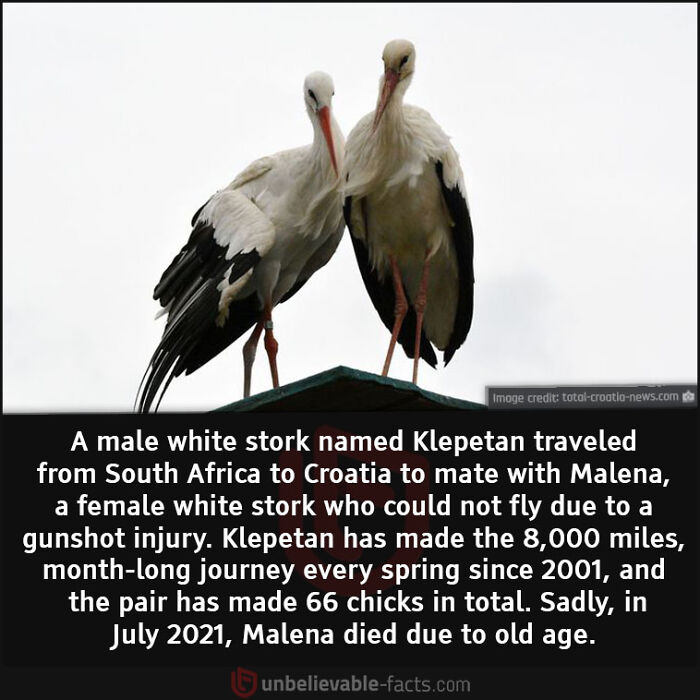 Interesting-Unbelievable-Facts