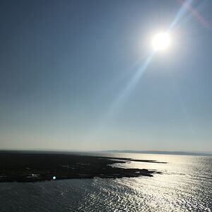 allyssahomcfred avatar