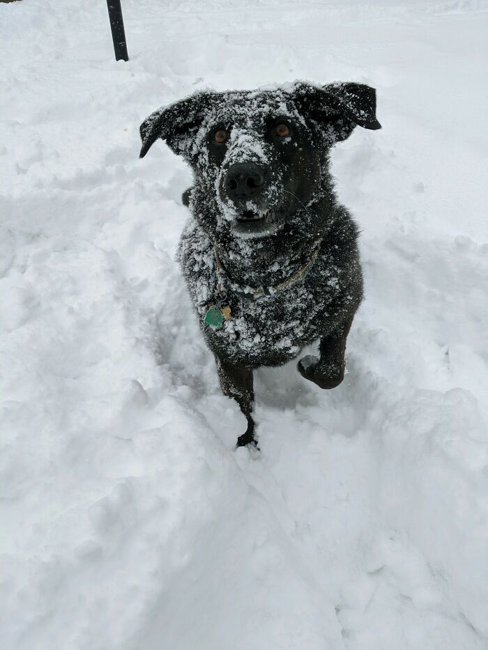 My Adorable Old Man, Duke!