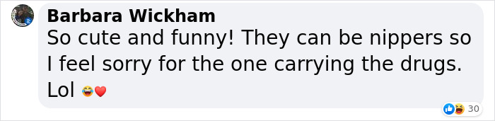 Video Captures The Tiniest Police Pup Doing Rounds Around An Airport, Amasses 9M Views