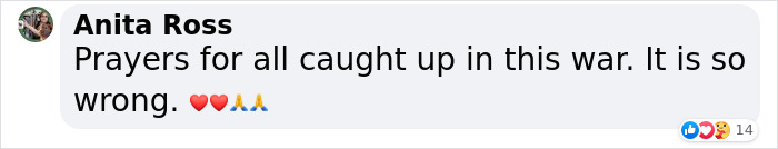 Famous Ukrainian Cat Stepan Flees With His Family, Finds Safety In France