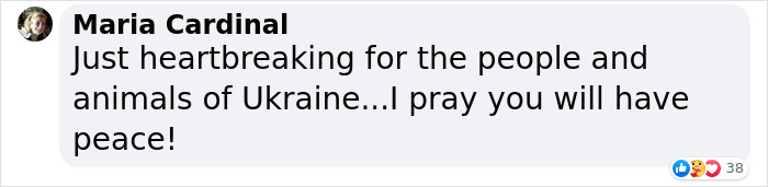 Famous Ukrainian Cat Stepan Flees With His Family, Finds Safety In France