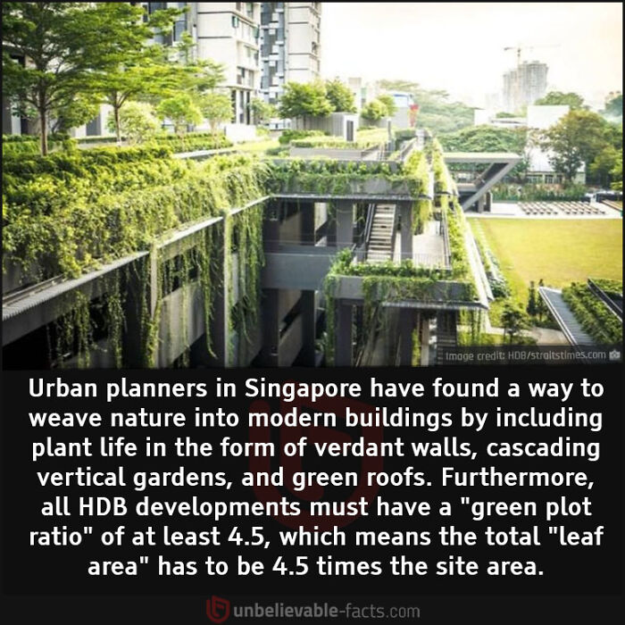 Interesting-Unbelievable-Facts