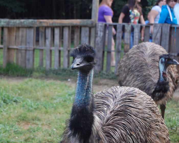 “What Did You Learn At An Embarrassingly Late Age?” (40 New Answers)