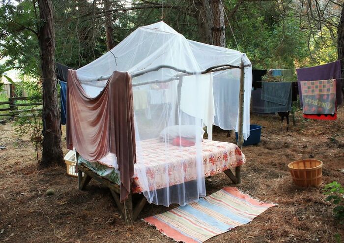 In Honor Of World Sleep Day, Here Are 30 Tips For Falling Asleep Easily, Shared By Users Of This Online Group