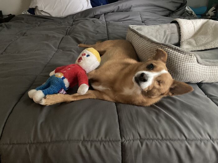 One-Ball With His Mr. Bill, Oh No