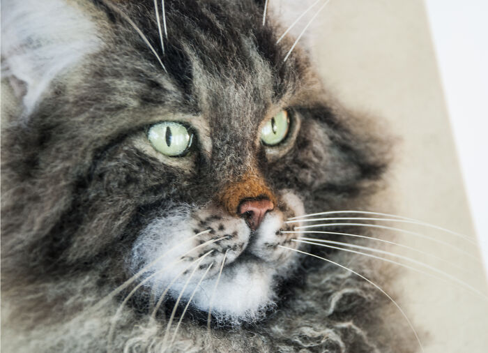 These Realistic Animal Faces Delight Some, Horrify Others. But These Portraits Do Not Leave Anyone Indifferent