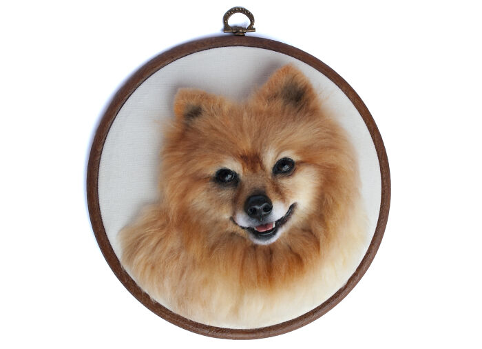 These Realistic Animal Faces Delight Some, Horrify Others. But These Portraits Do Not Leave Anyone Indifferent