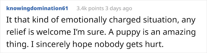 Puppy Rescued By Ukrainian Soldiers Becomes A Trusty Watchdog