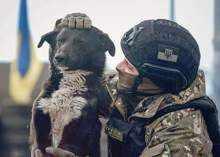 Esta mujer carga con su gato mientras lo consuela ante el sonido de las alarmas de ataque aéreo en Kyiv, Ucrania Esta mujer carga con su gato mientras lo consuela ante el sonido de las alarmas de ataque aéreo en Kyiv, Ucrania