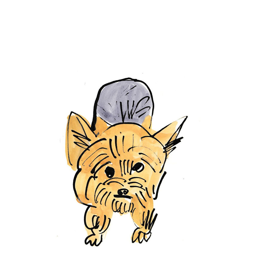 I Made These 7 Doggies To Just Enjoy While I Was Working Hard