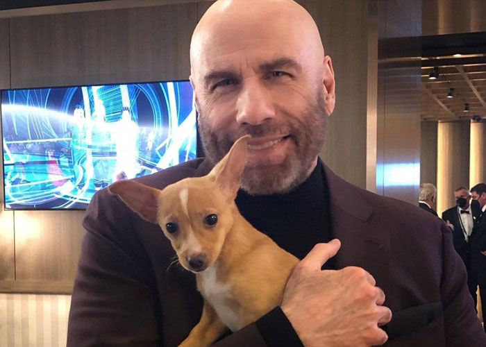 Puppy Named Mac N Cheese Wins Big At The Oscars As John Travolta Adopts Him After Betty White Tribute Puppy Named Mac N Cheese Wins Big At The Oscars As John Travolta Adopts Him After Betty White Tribute