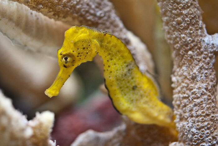 “What Did You Learn At An Embarrassingly Late Age?” (40 New Answers)