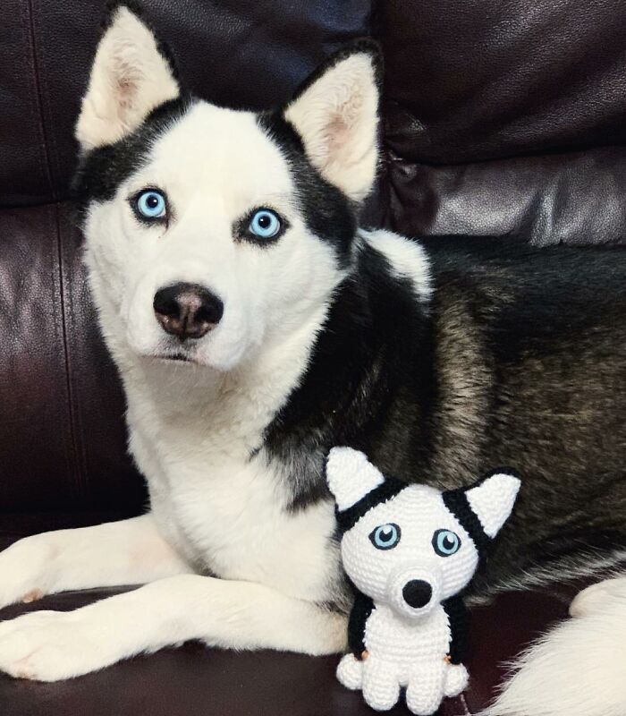 I Turn People's Dogs Into Smaller Crocheted Versions Of Them