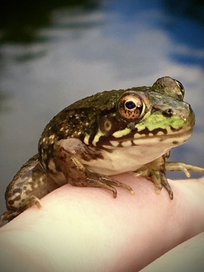 Can’t Wait For These Little Guys