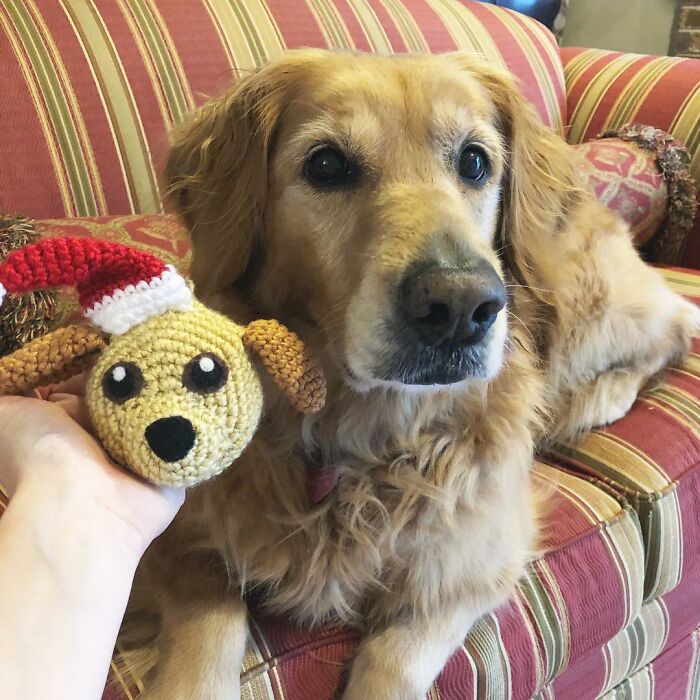 I Turn People's Dogs Into Smaller Crocheted Versions Of Them
