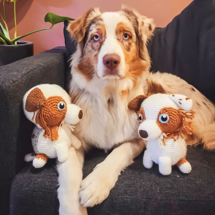 I Turn People's Dogs Into Smaller Crocheted Versions Of Them