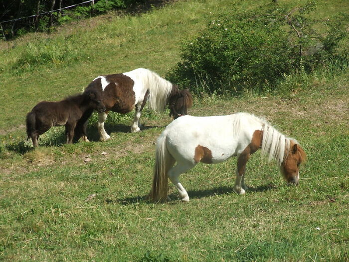 “What Did You Learn At An Embarrassingly Late Age?” (40 New Answers)