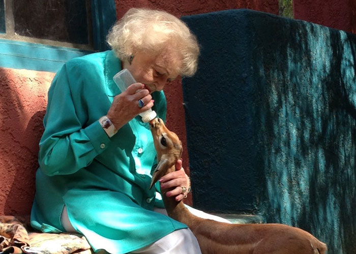 Puppy Named Mac N Cheese Wins Big At The Oscars As John Travolta Adopts Him After Betty White Tribute Puppy Named Mac N Cheese Wins Big At The Oscars As John Travolta Adopts Him After Betty White Tribute