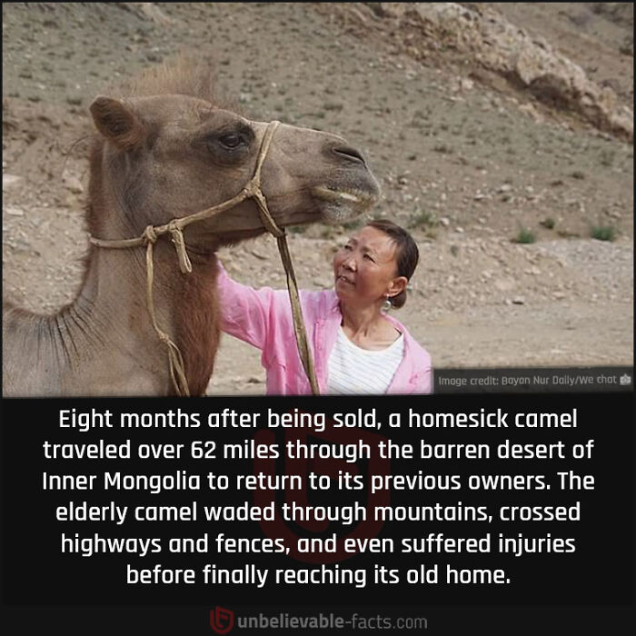 Interesting-Unbelievable-Facts