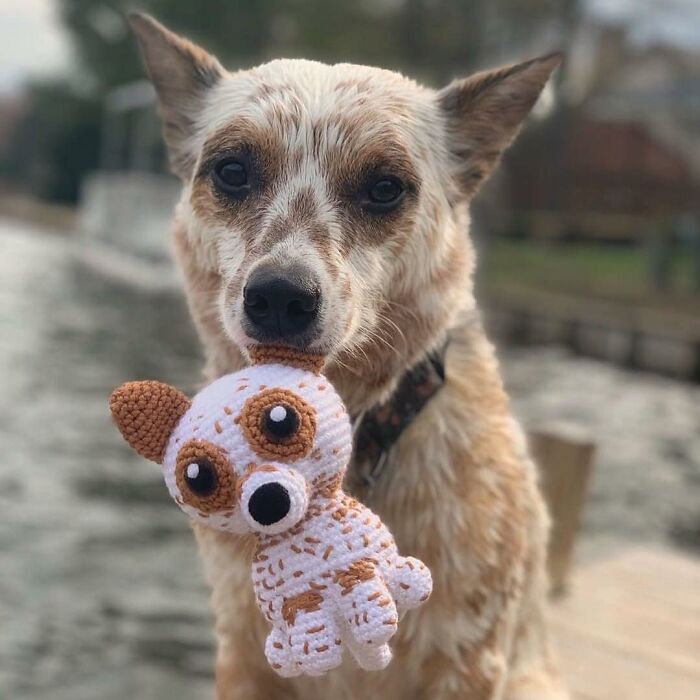 I Turn People's Dogs Into Smaller Crocheted Versions Of Them