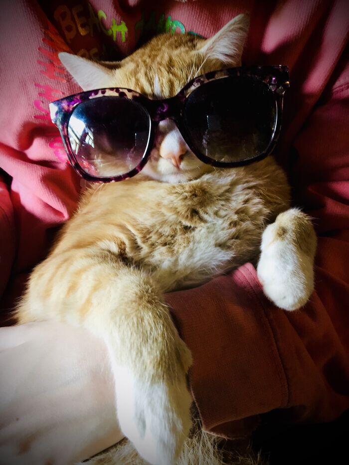 Oh Milocat.... We Love Ya Bud!!!!