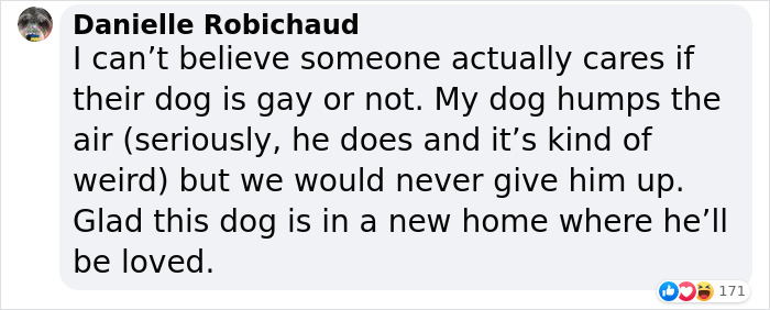 Homophobic Owner Abandons &lsquo;Gay&rsquo; Puppy Who Later Gets Taken In By Gay Couple