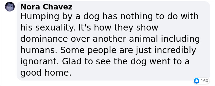 Homophobic Owner Abandons &lsquo;Gay&rsquo; Puppy Who Later Gets Taken In By Gay Couple