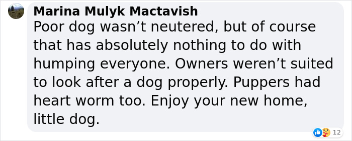 Homophobic Owner Abandons &lsquo;Gay&rsquo; Puppy Who Later Gets Taken In By Gay Couple