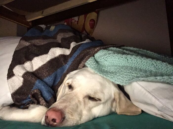 My Little Girl In Bed